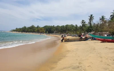 Arugam-Bay.webp
