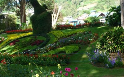 Galways-Land-National-Park-Nuwara-Eliya.jpg