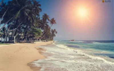 Hikkaduwa-Beach-–-What-You-Should-Know-About-It.webp
