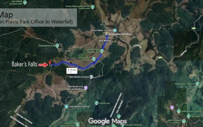 Horton-Plains-Park-Office-to-Bakers-Falls-Bakers-Falls-Rd-Google-Maps.jpg