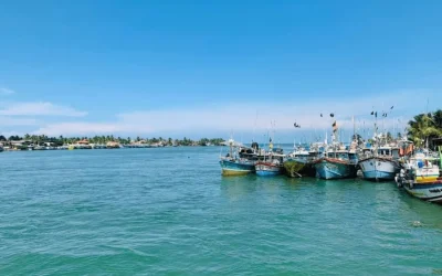negombo-lagoon-sri-lanka.webp