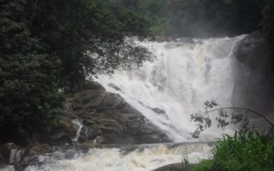 the-waterfall-ehamala.jpg