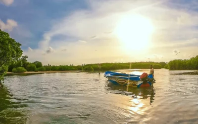 travel-negombo-lagoon.webp
